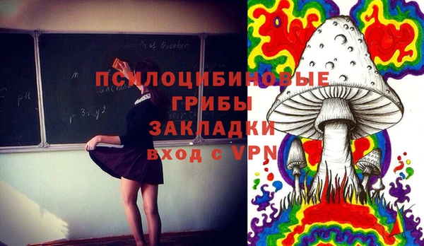 гидропоника Алексеевка